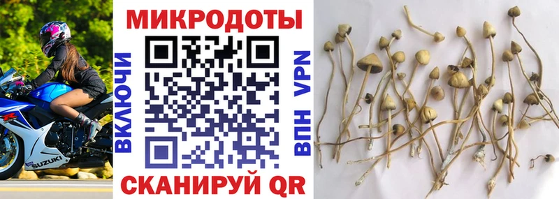 Галлюциногенные грибы прущие грибы  Ленинградская 