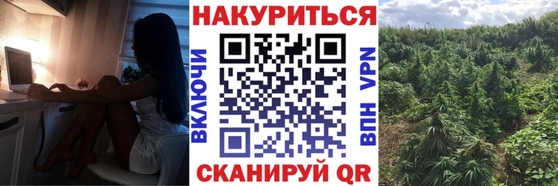 наркота  Ленинградская  Каннабис VHQ 